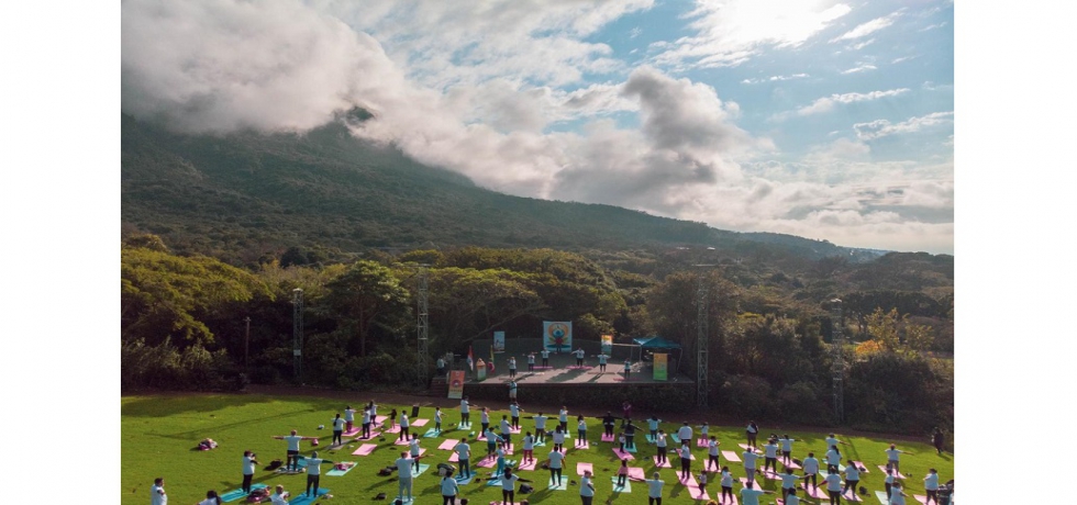 IDY 2023 held at Kirstenbosch National Botanical Gardens